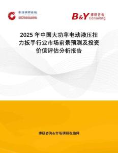2025年中國大功率電動液壓扭力扳手行業市場前景預測及投資價值評估分析報告