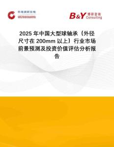 2025年中國大型球軸承（外徑尺寸在200mm以上）行業(yè)市場前景預(yù)測及投資價值評估分析報告