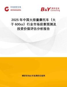 2025年中國大排量摩托車（大于600cc）行業(yè)市場前景預(yù)測及投資價(jià)值評估分析報(bào)告