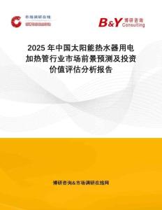 2025年中國太陽能熱水器用電加熱管行業(yè)市場前景預(yù)測及投資價值評估分析報告