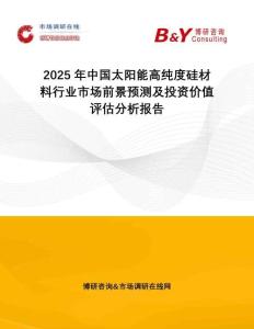 2025年中国太阳能高纯度硅材料行业市场前景预测及投资价值评估分析报告
