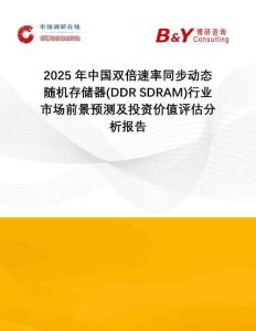 2025年中國雙倍速率同步動(dòng)態(tài)隨機(jī)存儲(chǔ)器(DDR SDRAM)行業(yè)市場前景預(yù)測及投資價(jià)值評(píng)估分析報(bào)告