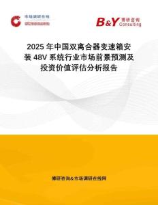 2025年中國雙離合器變速箱安裝48V系統行業市場前景預測及投資價值評估分析報告