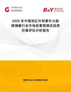 2025年中國雙紅外和紫外火焰探測器行業市場前景預測及投資價值評估分析報告
