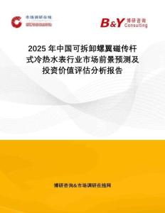 2025年中國可拆卸螺翼磁傳桿式冷熱水表行業(yè)市場前景預(yù)測及投資價值評估分析報告