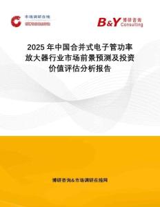 2025年中國合并式電子管功率放大器行業(yè)市場前景預(yù)測及投資價值評估分析報告