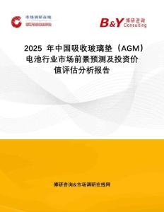 2025年中國吸收玻璃墊（AGM）電池行業(yè)市場前景預(yù)測及投資價(jià)值評估分析報(bào)告