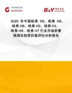 2025年中國哈弗H5、哈弗H6、哈弗H8、哈弗H2、哈弗H1、哈弗H9、哈弗H7行業市場前景預測及投資價值評估分析報告