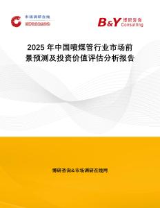 2025年中國噴煤管行業(yè)市場前景預(yù)測及投資價值評估分析報告