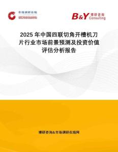 2025年中國四聯切角開槽機刀片行業市場前景預測及投資價值評估分析報告