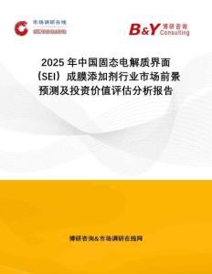 2025年中國固態(tài)電解質(zhì)界面（SEI）成膜添加劑行業(yè)市場前景預(yù)測及投資價值評估分析報告