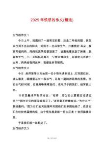 2025年憤怒的作文(精選)