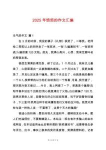 2025年愤怒的作文汇编