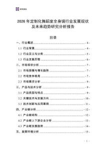 2026年定制化舞蹈室全身鏡行業(yè)發(fā)展現(xiàn)狀及未來趨勢研究分析報(bào)告