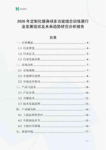 2026年定制化健身球多功能组合训练器行业发展现状及未来趋势研究分析报告