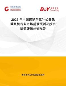 2025年中國(guó)壓送型三葉式魯氏鼓風(fēng)機(jī)行業(yè)市場(chǎng)前景預(yù)測(cè)及投資價(jià)值評(píng)估分析報(bào)告