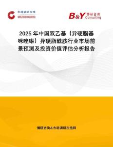 2025年中國雙乙基（異硬脂基咪唑啉）異硬脂酰胺行業(yè)市場前景預測及投資價值評估分析報告