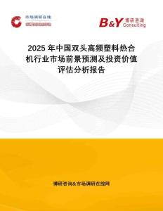 2025年中國雙頭高頻塑料熱合機行業(yè)市場前景預測及投資價值評估分析報告