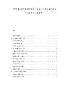 2025至2030中國液壓錘打樁機行業(yè)市場深度研究與戰(zhàn)略咨詢分析報告