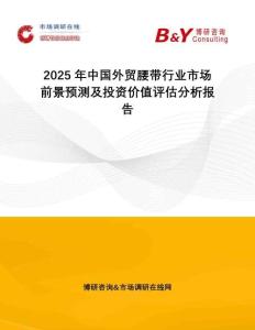 2025年中國(guó)外貿(mào)腰帶行業(yè)市場(chǎng)前景預(yù)測(cè)及投資價(jià)值評(píng)估分析報(bào)告