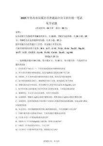 2025年青島市局屬高中中考自主招生化學(xué)試卷真題（含答案詳解）