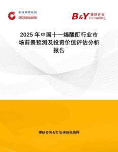 2025年中國十一烯酸酊行業市場前景預測及投資價值評估分析報告