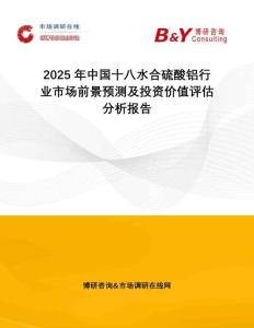 2025年中國十八水合硫酸鋁行業(yè)市場前景預(yù)測及投資價值評估分析報告