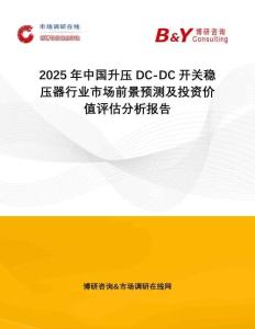2025年中國升壓DC-DC開關穩壓器行業市場前景預測及投資價值評估分析報告