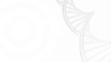 兒童基孔肯雅熱診治專家建議（2025）