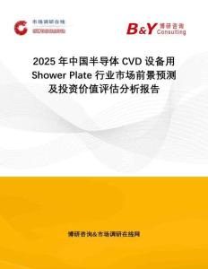 2025年中國半導體CVD設備用Shower Plate行業(yè)市場前景預測及投資價值評估分析報告