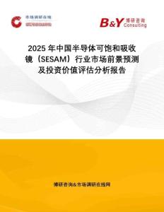 2025年中國(guó)半導(dǎo)體可飽和吸收鏡（SESAM）行業(yè)市場(chǎng)前景預(yù)測(cè)及投資價(jià)值評(píng)估分析報(bào)告
