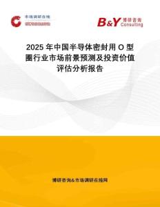 2025年中國半導體密封用O型圈行業市場前景預測及投資價值評估分析報告