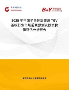 2025年中國半導體封裝用TGV基板行業(yè)市場前景預測及投資價值評估分析報告