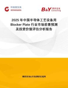 2025年中國半導體工藝設備用Blocker Plate行業(yè)市場前景預測及投資價值評估分析報告