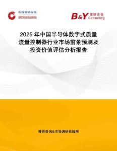 2025年中國半導體數字式質量流量控制器行業市場前景預測及投資價值評估分析報告