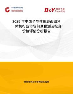 2025年中國半導體用磨面倒角一體機行業市場前景預測及投資價值評估分析報告