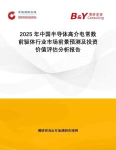 2025年中國半導體高介電常數前驅體行業市場前景預測及投資價值評估分析報告