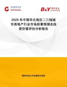 2025年中國華北地區(qū)二三線城市房地產(chǎn)行業(yè)市場前景預(yù)測及投資價值評估分析報告