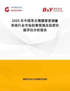 2025年中國單點薄膜厚度測量系統(tǒng)行業(yè)市場前景預測及投資價值評估分析報告