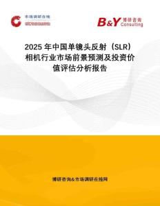 2025年中國單鏡頭反射（SLR）相機(jī)行業(yè)市場前景預(yù)測及投資價(jià)值評估分析報(bào)告