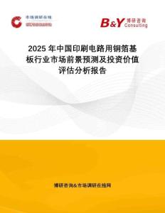 2025年中國(guó)印刷電路用銅箔基板行業(yè)市場(chǎng)前景預(yù)測(cè)及投資價(jià)值評(píng)估分析報(bào)告
