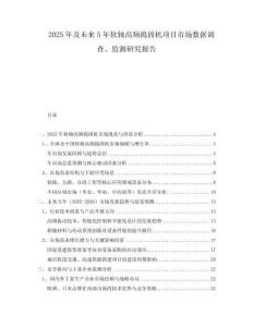2025年及未來5年軟軸高頻搗固機(jī)項(xiàng)目市場(chǎng)數(shù)據(jù)調(diào)查、監(jiān)測(cè)研究報(bào)告
