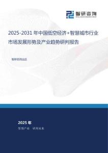 2025-2031年中國低空經濟+智慧城市行業(yè)市場發(fā)展形勢及產業(yè)趨勢研判報告