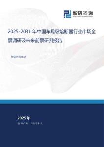 2025-2031年中國(guó)車(chē)規(guī)級(jí)熔斷器行業(yè)市場(chǎng)全景調(diào)研及未來(lái)前景研判報(bào)告