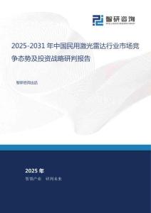 2025-2031年中國民用激光雷達(dá)行業(yè)市場競爭態(tài)勢及投資戰(zhàn)略研判報(bào)告