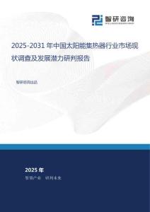 2025-2031年中國太陽能集熱器行業(yè)市場現(xiàn)狀調(diào)查及發(fā)展?jié)摿ρ信袌?bào)告