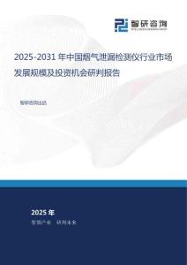 2025-2031年中國煙氣泄漏檢測儀行業(yè)市場發(fā)展規(guī)模及投資機會研判報告
