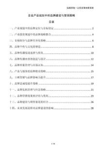 企業(yè)產(chǎn)業(yè)規(guī)劃中的品牌建設(shè)與營銷策略