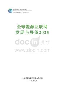 全球能源互聯(lián)網(wǎng)發(fā)展與展望 2025