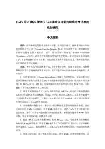 CAFs分泌BGN激活NF-κB通路促進(jìn)前列腺癌惡性進(jìn)展的機(jī)制研究